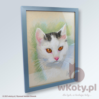 Kazek - rysunek kota w ramce - UNIKAT!