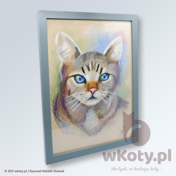 Dexter - rysunek kota w ramce - UNIKAT!