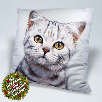 Poduszka szary kot