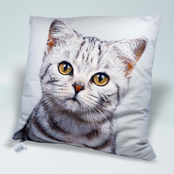 Poduszka szary kot
